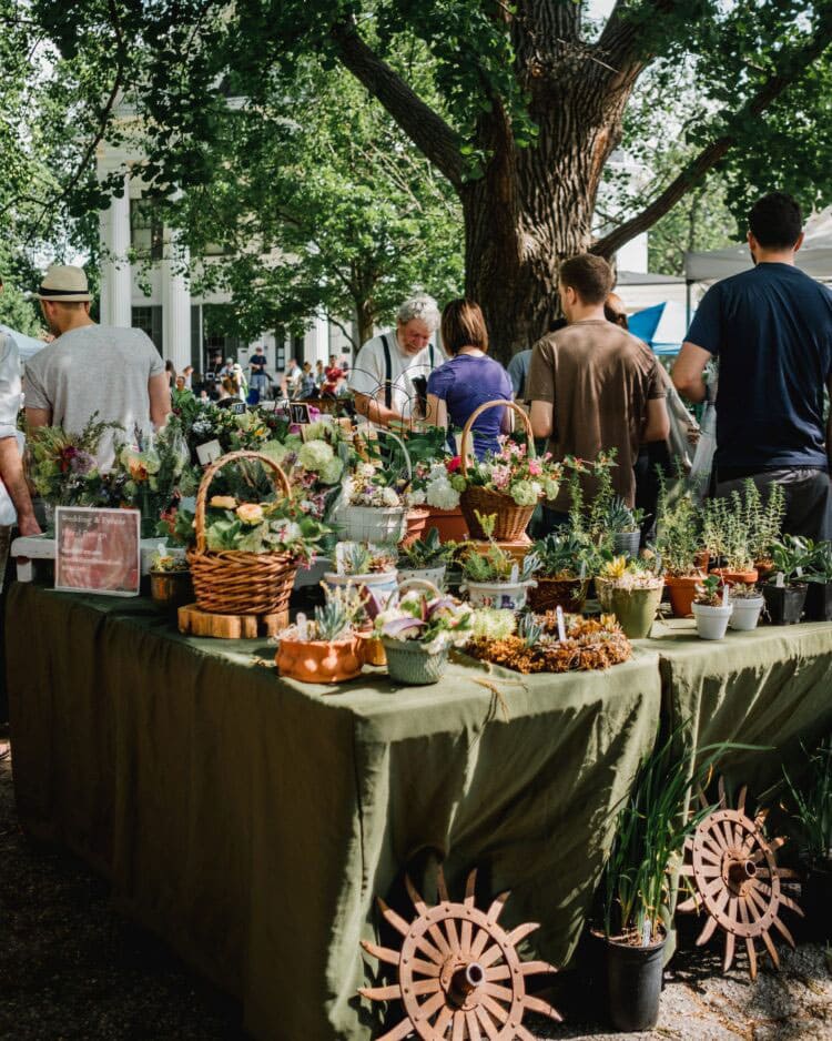 go-to-the-farmers-market