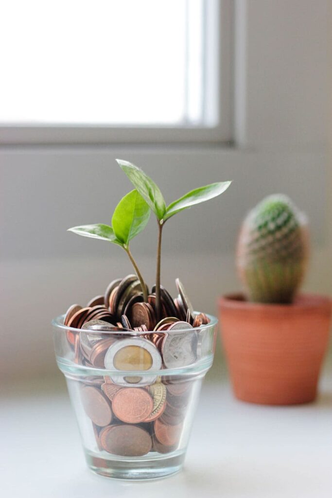 a vase full of coins and a plant growing out of it