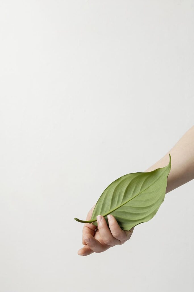 a woman's hand holding a leaf
