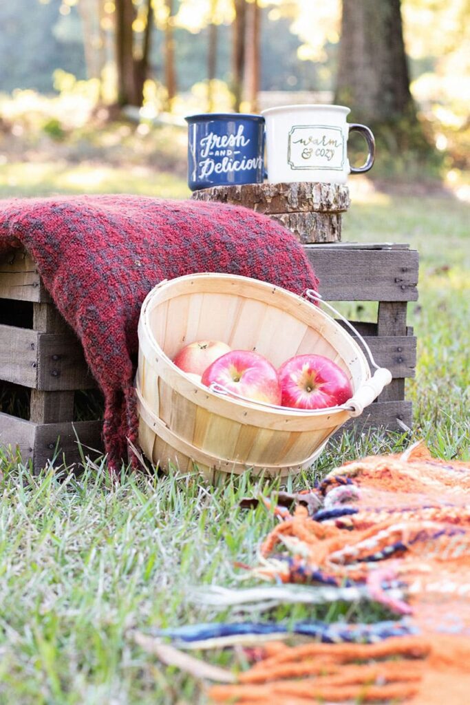 a container full of apples in an apple picking area