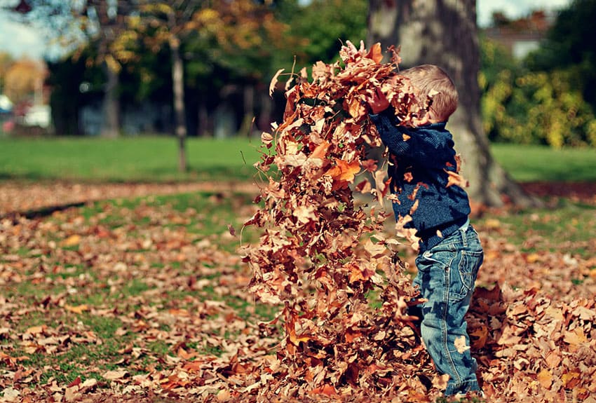 a kid throwing leaves in the air