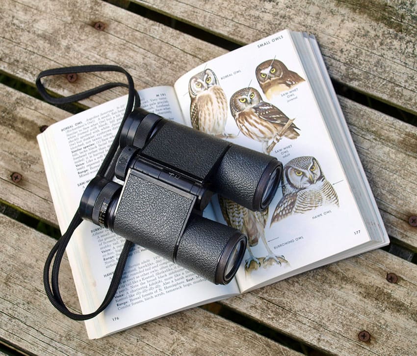 a open book about bird watching featuring different types of owls and binoculars