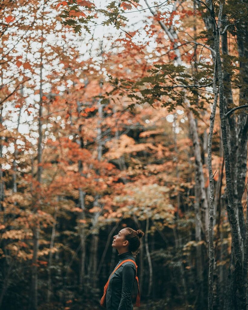 a young woman hiking in the forest autumn setting