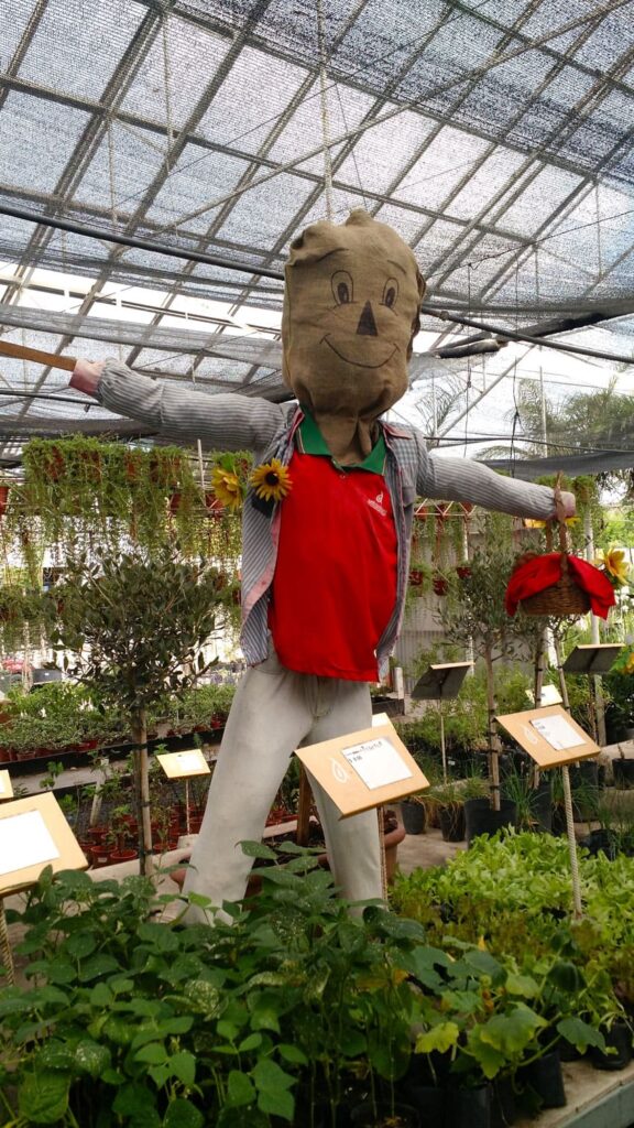 build a scarecrow as part of cheap fall activities for adults