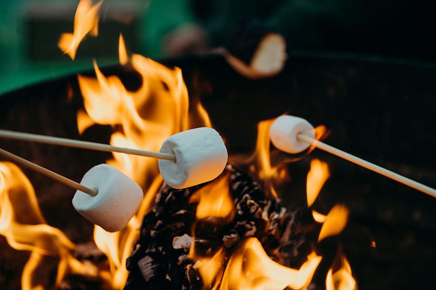 marshmallows being cooked over a bonfire