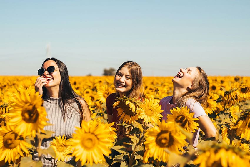 three female friends laughing on a sunflower field