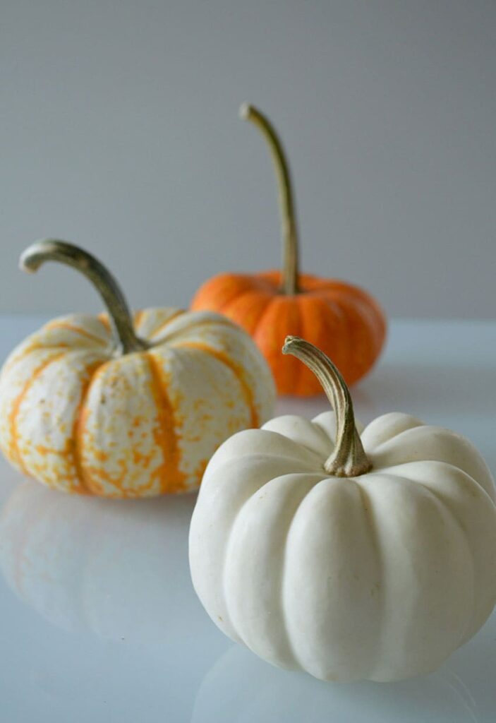 three fake pumpkins of different colors with minimalistic style