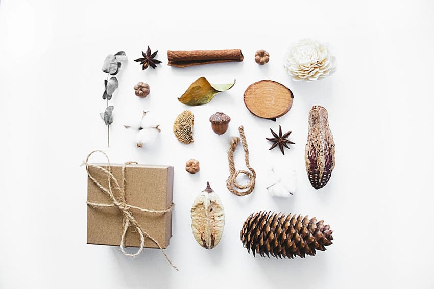 a collection of natural items pinecones, wood seeds cinnammon stick etc