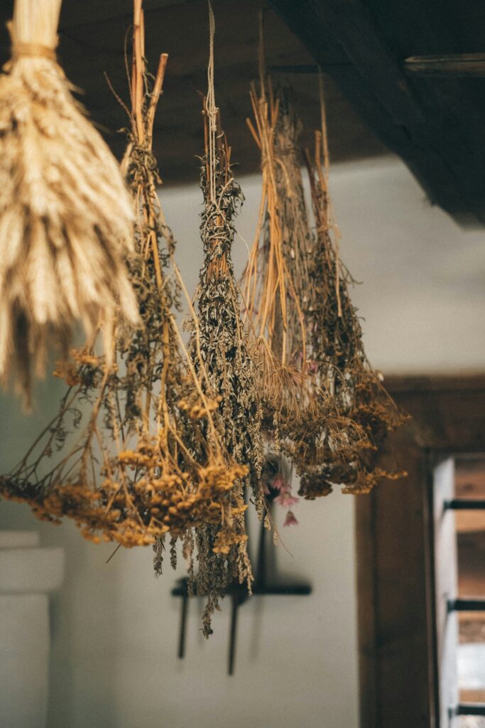 dried herb bouquets hanging from cabinet hooks