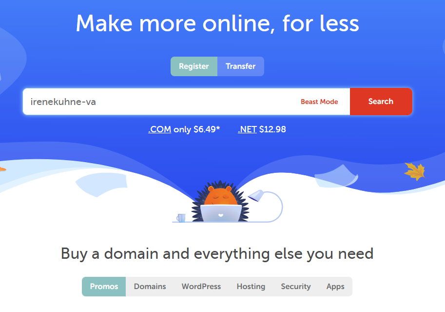choosing a custom domain in namecheap